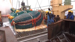 オキアミ漁獲